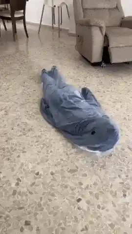 Shark Image