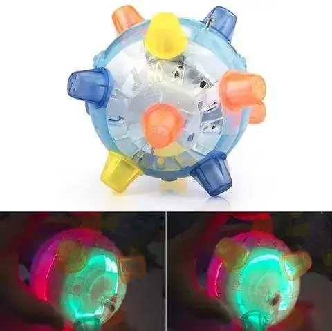Dog playing with LED Ball