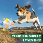 Jumping Activation Ball For Dogs And Cats - Image 5