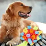 Dog Chew Toy Balls - Image 6