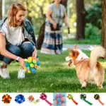 Dog Chew Toy Balls - Image 9