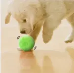 Anti-Stress Moving Ball For Pet - Image 3