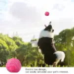 Anti-Stress Moving Ball For Pet - Image 5