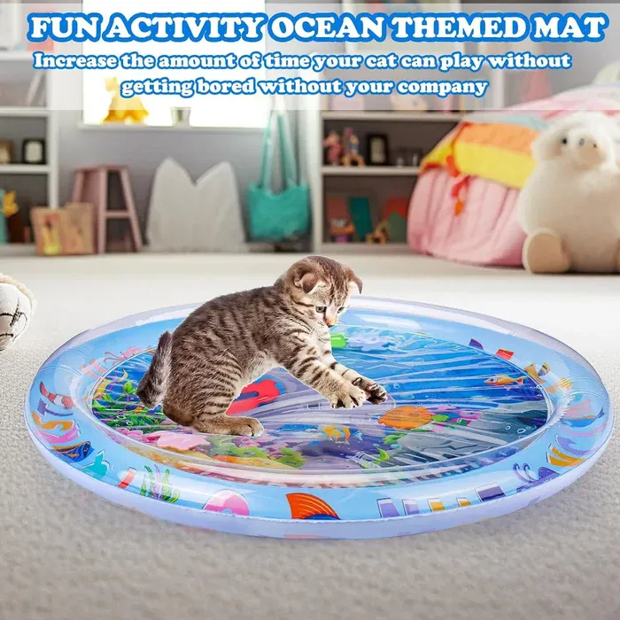 Cat playing with floating toy