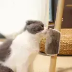 Wall Corner Massage Comb
