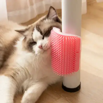 Wall Corner Massage Comb