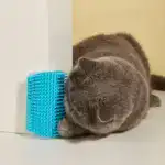 Wall Corner Massage Comb