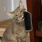 Wall Corner Massage Comb