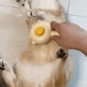 Pet Floating Hair Massage Comb