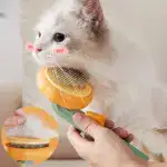 Pet Floating Hair Massage Comb