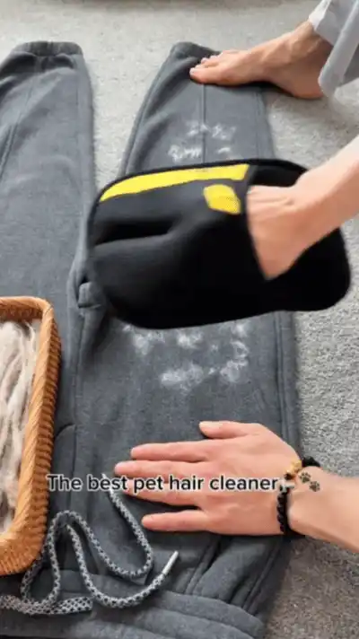 Grooming gloves in use
