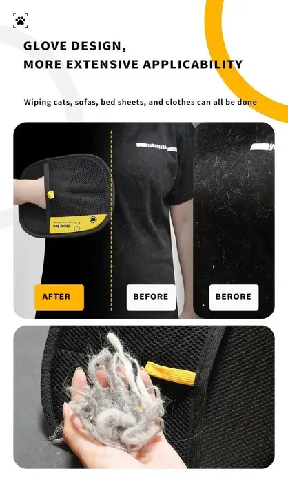 Pet grooming setup